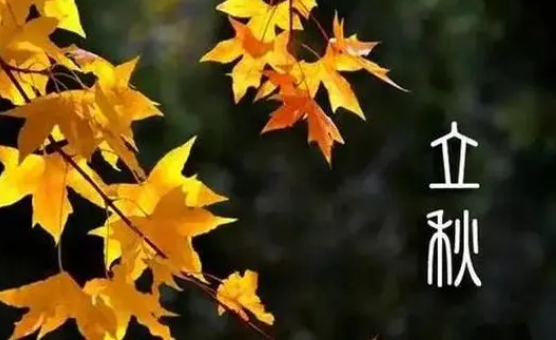 立秋三伏天过了?秋老虎何时开始发威