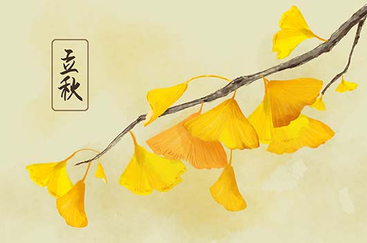 立秋后天坑在哪?如何应对高温天气?