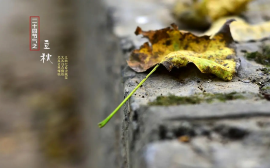 2025立秋后有台风吗?秋台风会更强吗