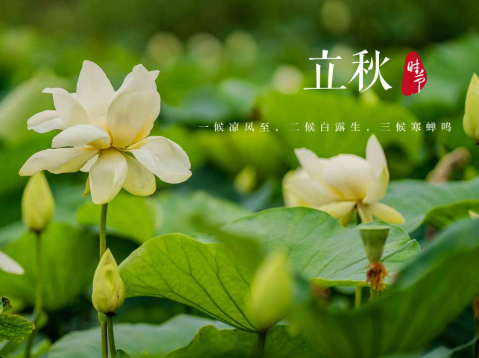 2025立秋后有台风吗?秋台风会更强吗