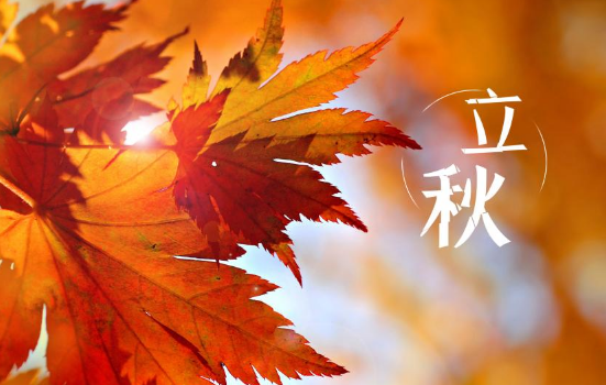 立秋后蚊子就消失了吗？秋后蚊子为何更凶猛