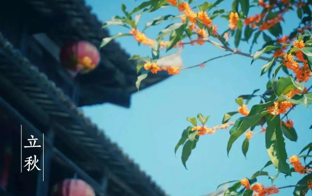 立秋后何时晒背合适?三伏天晒背最佳时间