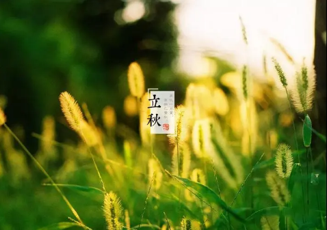 立秋后何时晒背合适?三伏天晒背最佳时间