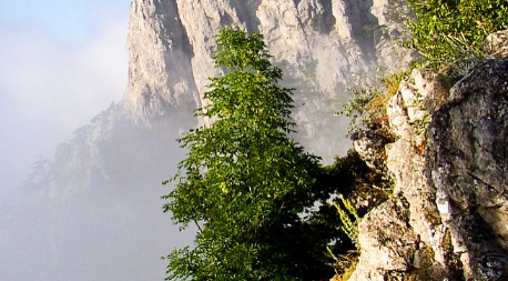 2025年9月黄山旅游人多吗?如何避开人流高峰