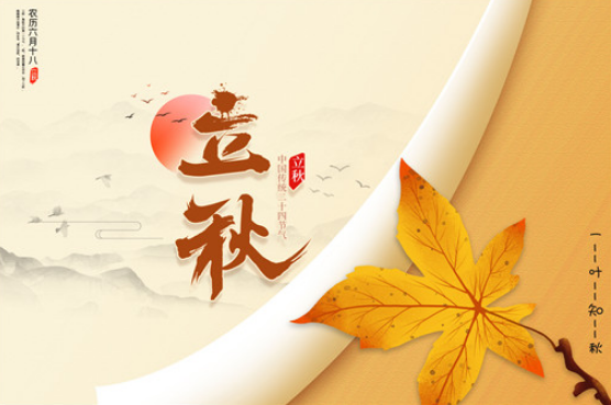 立秋后几天种白菜萝卜好?秋播最佳时间何时