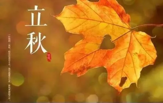 立秋后蚊子更厉害?叮人更猛是真的吗