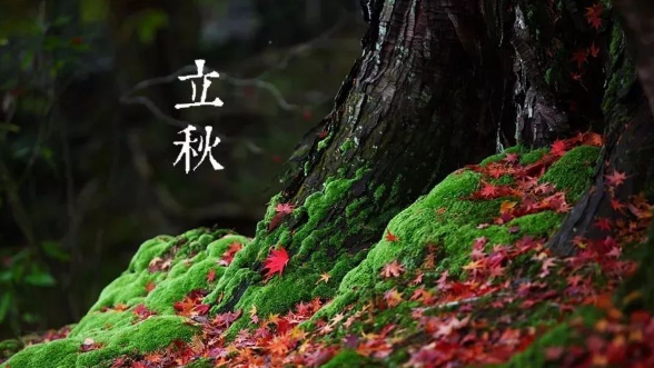 立秋后蚊子变多还是变少？如何有效防蚊？