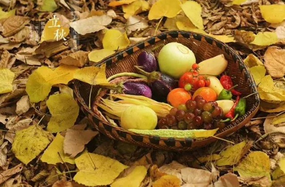 立秋后蚊子变多还是变少?如何有效防蚊?