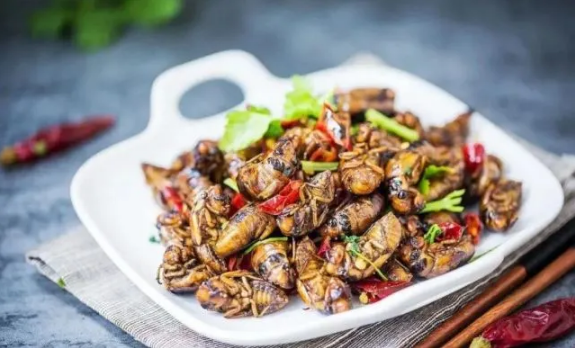 立秋后知了猴还能吃吗？如何安全食用