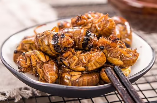 立秋后知了猴还能吃吗?如何安全食用