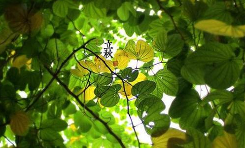 立秋后就是秋天了吗？秋老虎还会热多久
