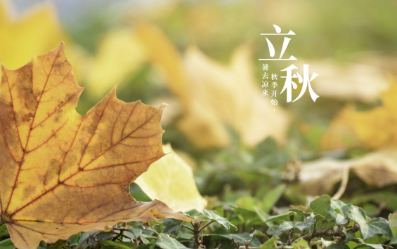 2025立秋后高温持续?秋老虎会否更凶猛