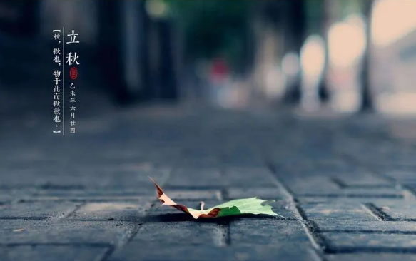 2025立秋后高温持续?秋老虎会否更凶猛