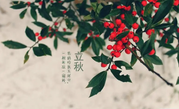 立秋晴天好还是雨天好？晴天立秋有何习俗