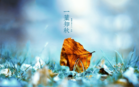 2025立秋后高温持续吗?秋老虎会否发威