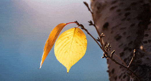 2025年处暑会降温吗?高温天气何时结束