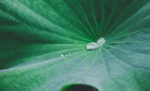 2025处暑后还热吗?秋老虎会持续多久