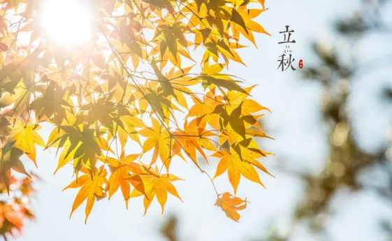 立秋后有一伏还是两伏?末伏养生吃什么