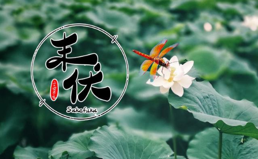 末伏过了是什么节气?秋老虎何时结束