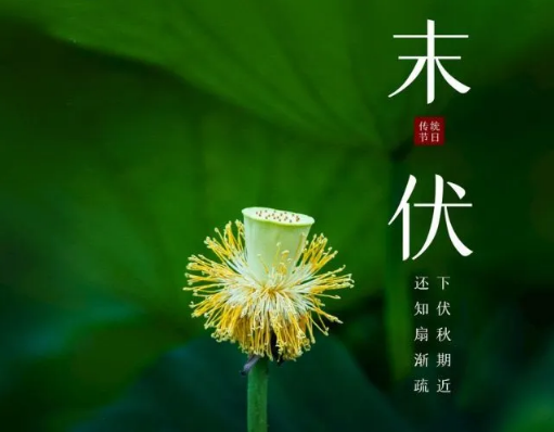 末伏过了是什么节气?秋老虎何时结束