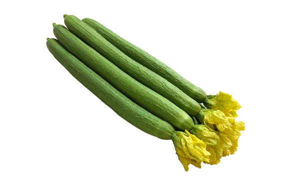 立秋后丝瓜还能吃吗?秋后丝瓜有毒是真的吗