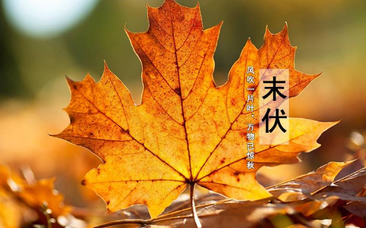 2025末伏之后还热吗?秋老虎会持续多久