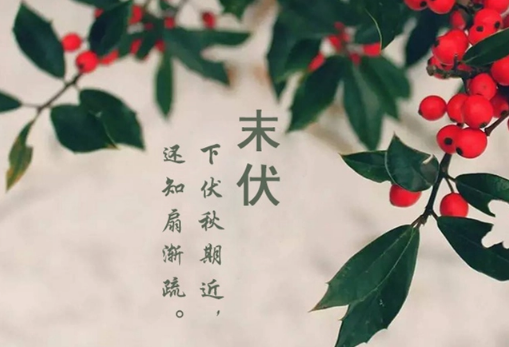 2025末伏之后还热吗?秋老虎会持续多久