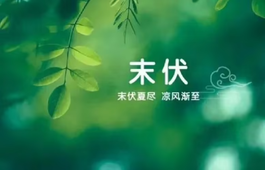 末伏过了怎么还那么热?秋老虎为何如此凶猛