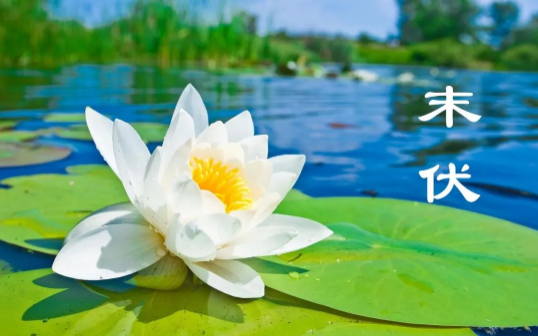 末伏过了怎么还那么热?秋老虎为何如此凶猛