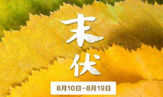 2025末伏何时结束?秋老虎持续多久