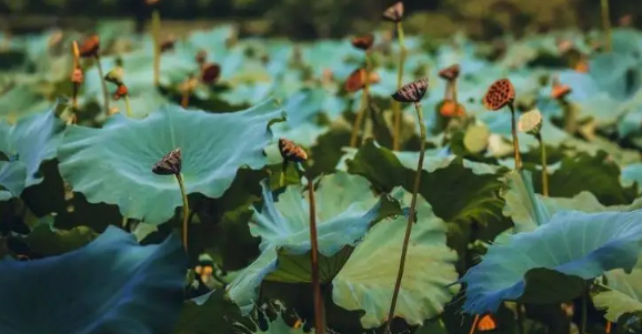 2025年秋分后天天下雨？气候异常会持续多久