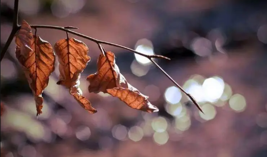 2025年秋分后天天下雨?气候异常会持续多久