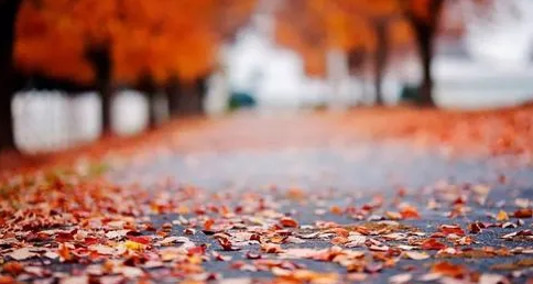 2025年秋分后天天下雨?气候异常会持续多久