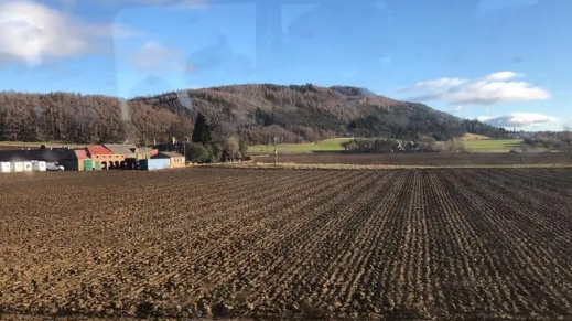 2025年立秋后庄稼还长吗?秋后作物生长如何?