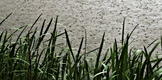 2025年秋分后有大雨吗?秋分降雨影响出行吗