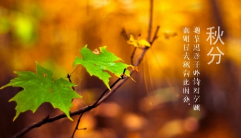 2025年秋分天气会转凉吗?秋分后如何养生