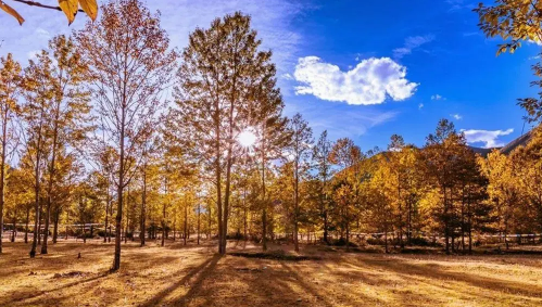 秋分过了就是冬天吗？2025年何时入冬