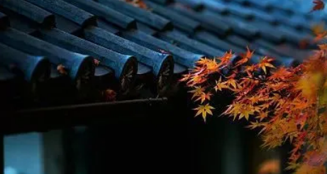 秋分过了就是冬天吗?2025年何时入冬