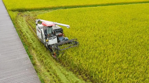 2025年北京秋分后还热吗?秋老虎会持续多久