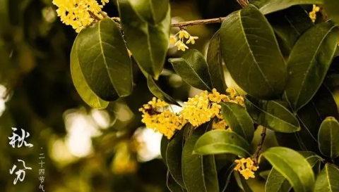 为什么秋分后仍热？2025年高温为何持续？