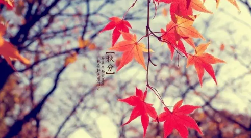 为什么秋分后仍热?2025年高温为何持续?