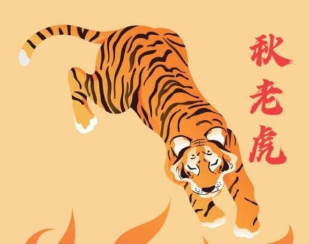 2025秋老虎几号到几号?如何应对高温天气