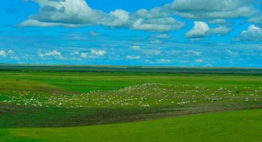 2025年9月去呼伦贝尔大草原好吗？秋季旅游人多吗