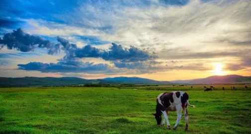 2025年9月去呼伦贝尔大草原好吗?秋季旅游人多吗