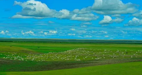 2025年9月去呼伦贝尔大草原冷吗?秋季旅游穿衣指南