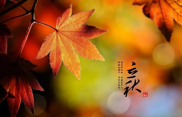 2025年立秋能出远门吗?立秋出行有何禁忌?