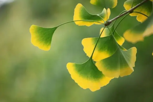 2025年立秋能出远门吗?立秋出行有何禁忌?