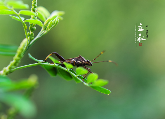 2025年立秋能出远门吗?立秋出行有何禁忌?