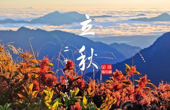 原问题？2025立秋中伏第几天