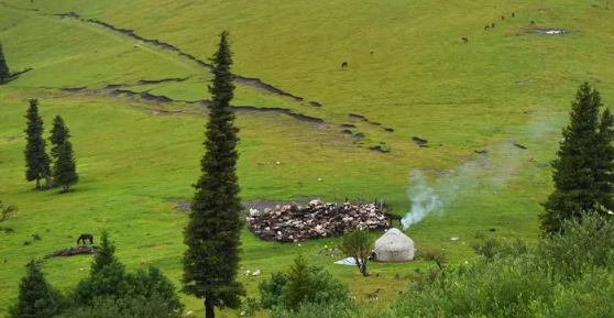 新疆何时入秋?2025年几月开始凉快